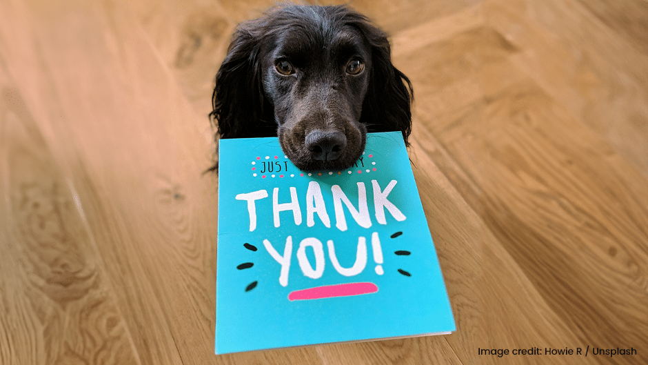 A dark brown dog holds a blue card in its mouth with “THANK YOU!” written in large white and pink letters.