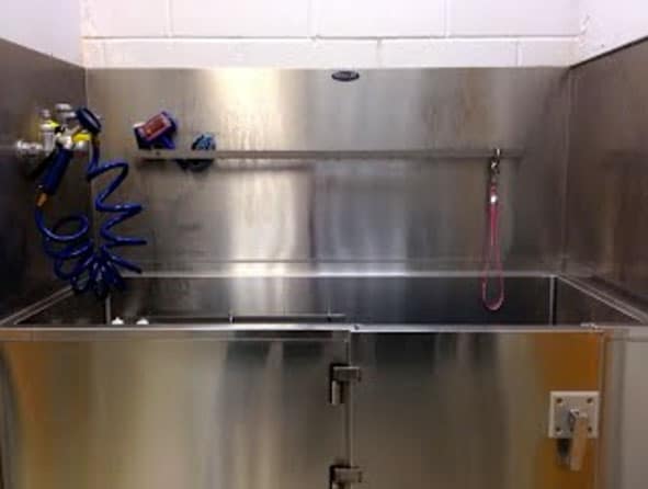 Stainless steel pet washing station with hose, shampoo bottle, and red leash attached to back wall.