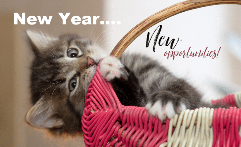 A gray kitten chewing on the handle of a pink basket with the text “New Year.... New opportunities!” in white and black fonts.