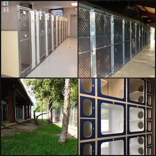 Four images show different animal shelter enclosures: indoor kennels, outdoor chain-link runs, a grassy outdoor area with fences, and stacked indoor cat cages.