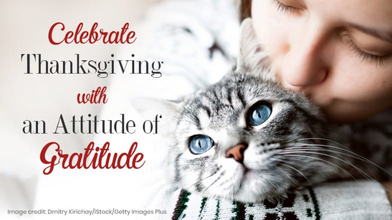 A person cuddles a gray tabby cat. Text reads: “Celebrate Thanksgiving with an Attitude of Gratitude.”.