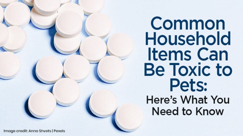 Several white round tablets are scattered on a light blue surface next to text warning that common household items can be toxic to pets.