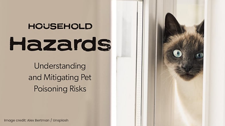 A Siamese cat peers through a door next to text about household hazards and pet poisoning risks.