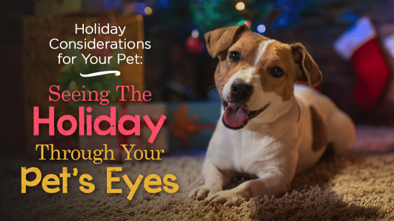 A small dog lies on the floor in front of a decorated Christmas tree, with text about holiday considerations for pets displayed on the left.