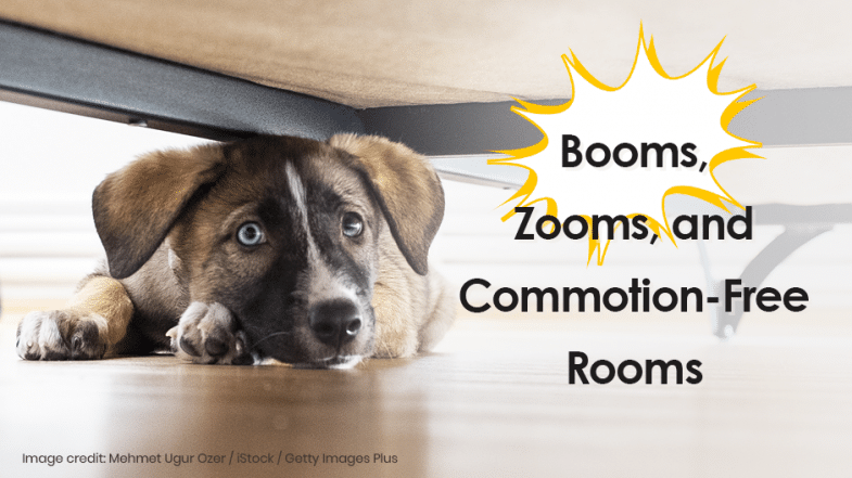 A brown and white puppy lies under a piece of furniture, looking up, next to text that reads, “Booms, Zooms, and Commotion-Free Rooms.”.