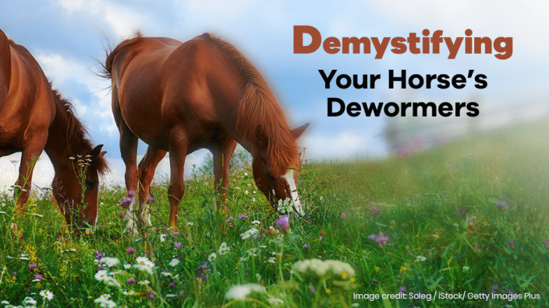 Two brown horses graze in a wildflower meadow under a partly cloudy sky. Text reads, “Demystifying Your Horse’s Dewormers.” Image credit listed at the bottom right.