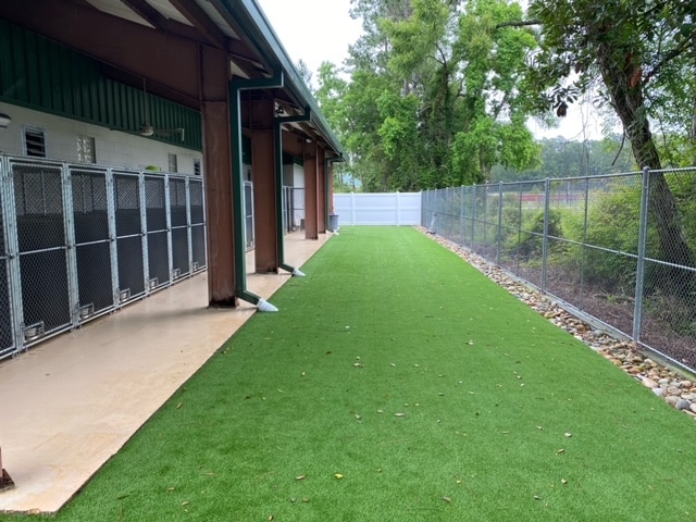 Outdoor area of an animal shelter with artificial turf, chain-link kennels on the left, and a fenced perimeter on the right.