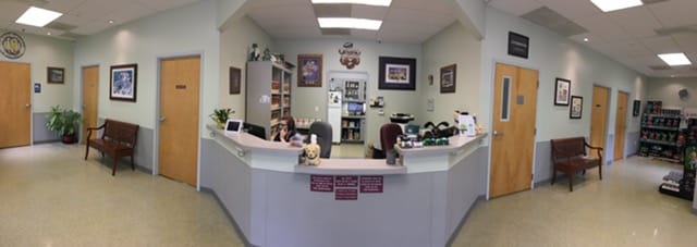 Panoramic view of a veterinary clinic reception area with a front desk, seating, wall art, doors, and pet products displayed on shelves.