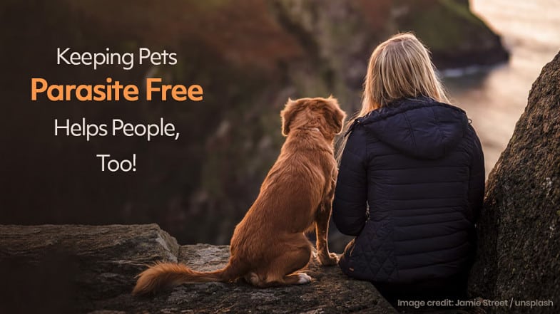 A woman and a dog sit on a rock overlooking a valley, with text promoting keeping pets parasite free to help people as well.