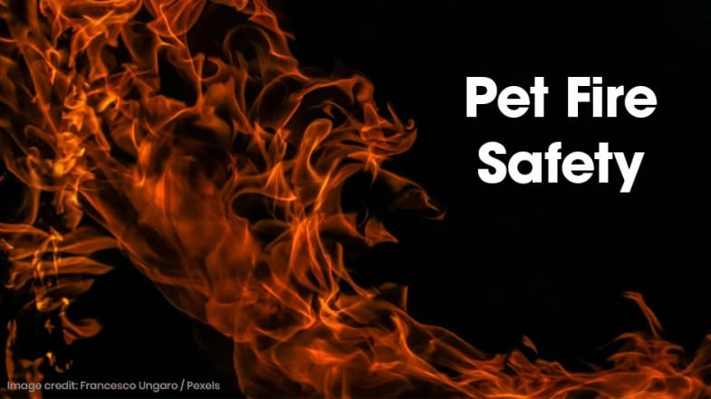 Orange flames on a black background with the text “Pet Fire Safety” in bold white letters on the right side.