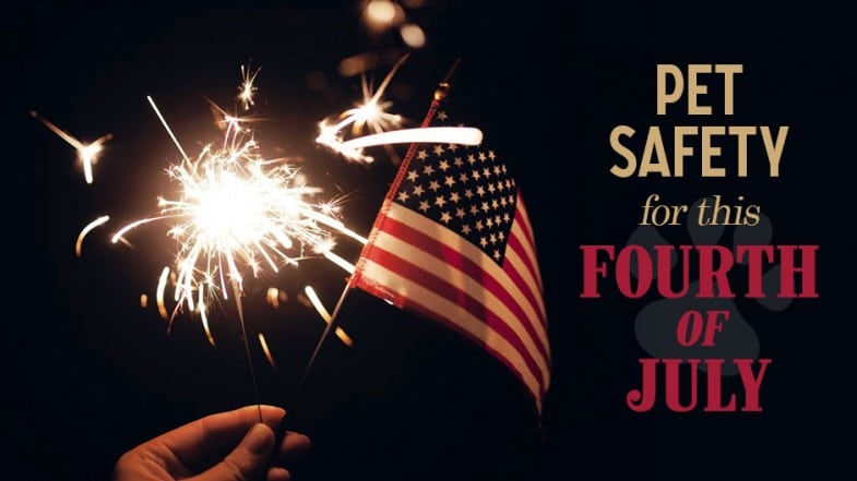 Hand holding a lit sparkler and small American flag, with text about pet safety for the Fourth of July on a dark background.