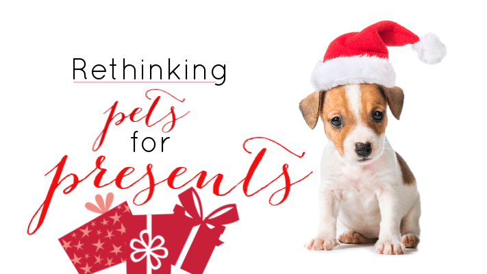 A small puppy wearing a Santa hat sits next to red gift boxes. Text reads: “Rethinking pets for presents.”.