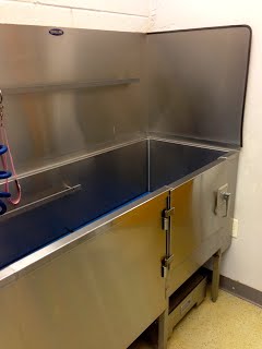 Stainless steel veterinary bathing tub with side door, faucet attachment, and backsplash in a tiled room.