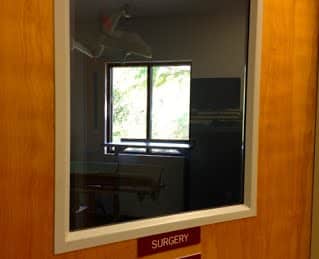 View through a window in a wooden door labeled “Surgery,” showing a lit room with a bed and a window with trees visible outside.