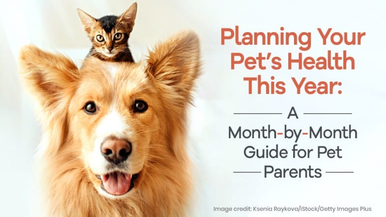 A cat sits on a dog’s head next to text that reads, “Planning Your Pet’s Health This Year: A Month-by-Month Guide for Pet Parents.”.