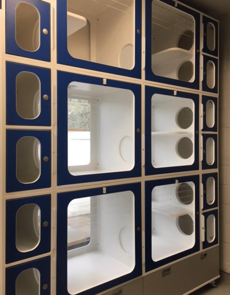 A set of stacked, empty blue and white pods with glass doors, possibly designed for animal housing or storage, is shown against a wall.