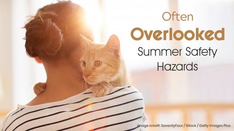 A woman in a striped shirt holds a ginger cat on her shoulder, with text about overlooked summer safety hazards.