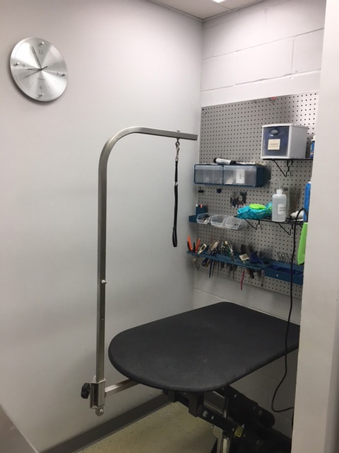 A grooming table with a hanging arm is beside a pegboard holding various grooming tools and supplies. A clock is mounted on the wall above.