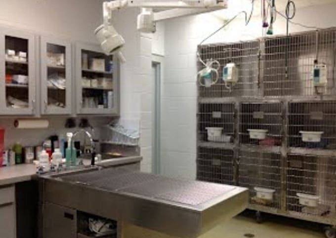 A veterinary clinic room with a metal exam table, medical supplies on shelves, and cages with monitoring equipment along the wall.
