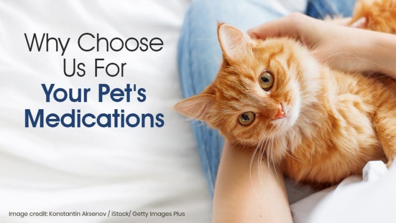 Person holding an orange tabby cat with the text “Why choose us for your pet’s medications” displayed on the left side of the image.